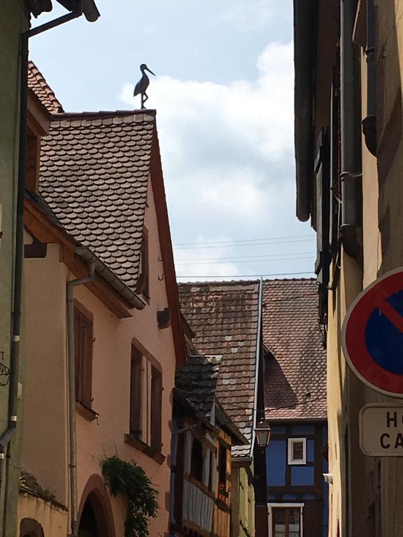 Le P'Retzel & Le Sticksy Lägenhet Riquewihr Exteriör bild